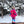 Sherpa Fleece Jacket Pink / Blue - Women's
