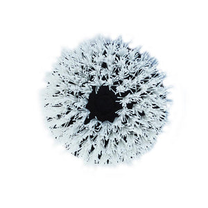 Shurhold 6-1/2" Stiff Brush f/Dual Action Polisher - TRAPSKI