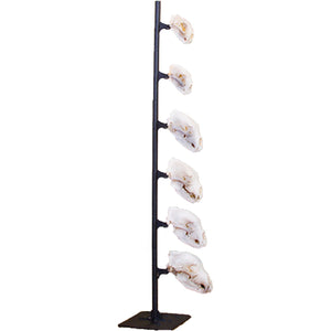 Skull Hooker Freestanding Deer Turkey Alligator Head Display Trophy Tree, Black - TRAPSKI