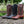 Men's Black Ostrich Print Cowboy Boots (H7002)
