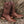 Soto Boots Mens Out of the Wild Cognac Ostrich Print Boots H50031