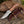 Spectral Field Dressing Knife with Olive Wood Handle