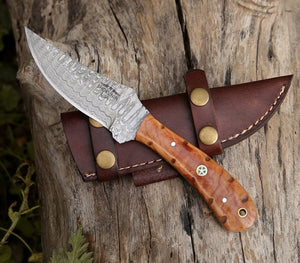 Spectral Field Dressing Knife with Olive Wood Handle