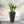 Stackable Taper Planters Set of 3 with Marble Finish