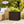 Suncast SS500J 22-Gallon Indoor Outdoor Resin Patio Storage Chest Deck Box, Java - TRAPSKI