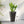 Tall Marble Look Flower Planters with Drainage - Set of 3