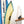 Holden Beach Surfboard Storage Vertical Wood Rack | Holds 6 Surfboards