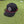 Tommy Golf Hat