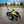Tow Tuff 7500 Pound Capacity Electric Trailer Dolly with Pnuematic Tires, Green