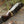Trailseeker Every Day Carry Knife with Ram Horn & Rosewood Handle