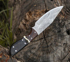 Trailseeker Every Day Carry Knife with Ram Horn & Rosewood Handle