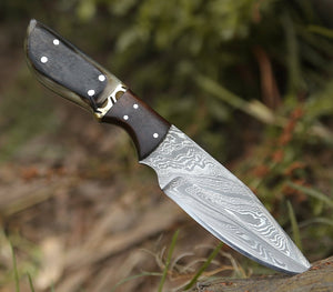 Trailseeker Every Day Carry Knife with Ram Horn & Rosewood Handle