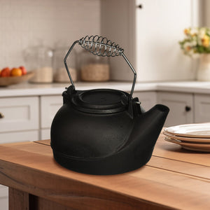 Panacea Fireplace Cast Iron Wood Stove Kettle Humidifier w/ Chrome Handle, Black