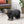 MGO Bear Bench - Concrete Outdoor Bench