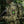 M-Tac Patch Clover GID