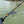 Jerkbait Fishing Rod