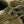 M-Tac Tactical Sneakers Leopard R