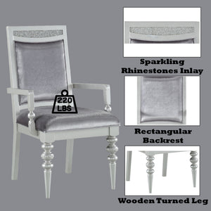 Maverick Arm Chair Set of 2 with Fabric Upholstery and Wooden Frame - Silver