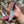 Viking Hunting Knife D2 Steel Vegvisir Engraved