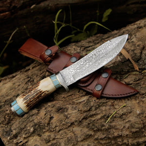 Viral Bull Nose Hunting Knife with Antler & Turquoise Handle