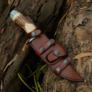 Viral Bull Nose Hunting Knife with Antler & Turquoise Handle