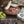 Small Round Walnut Charcuterie Board - TRAPSKI