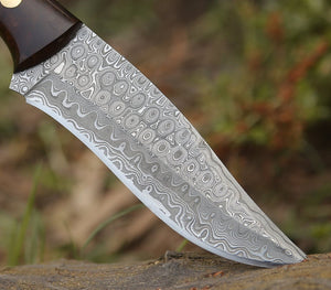 Virtue Damascus Hunting Knife Fixed Blade with Exotic Rose Wood Handle