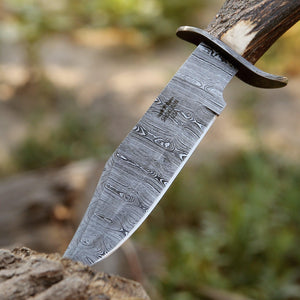 Wildfire Damascus Bowie Knife with Stag Horn Handle - TRAPSKI