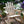 Rustic Outdoor Log Rocking Chair