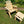 Outdoor Patio Footrest