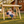 Wooden Porch Swing with Canopy