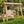 Wooden Porch Swing with Canopy