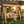 Wooden Porch Swing with Canopy