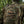 M-Tac Patch HMMWV PVC