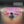 Uno Mas Photochromic+ | Small / Youth