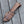 Zen Damascus Hunting Knife with Exotic Rose Wood Handle