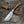 Zen Damascus Hunting Knife with Exotic Rose Wood Handle