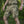 M-Tac Shorts Aggressor Summer Flex