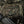 M-Tac Patch Trench Cat